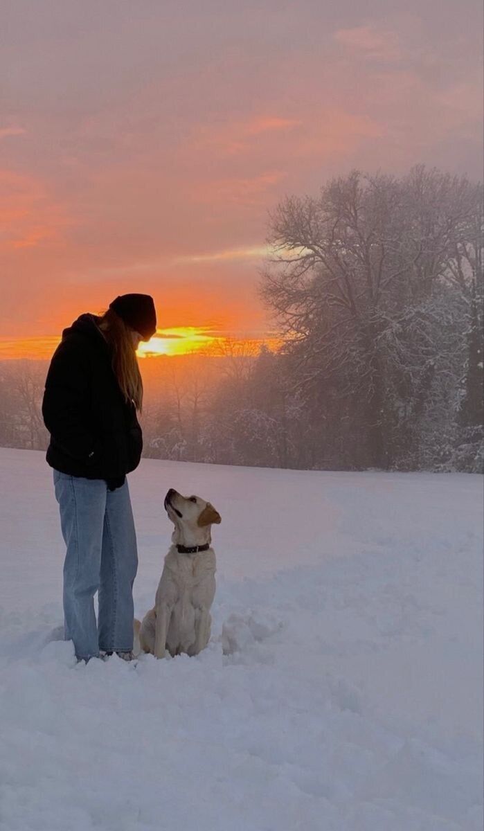 ���������� ������, ���� ������� ����, 33 ����, ������������ ��� ������, ����� � ���������