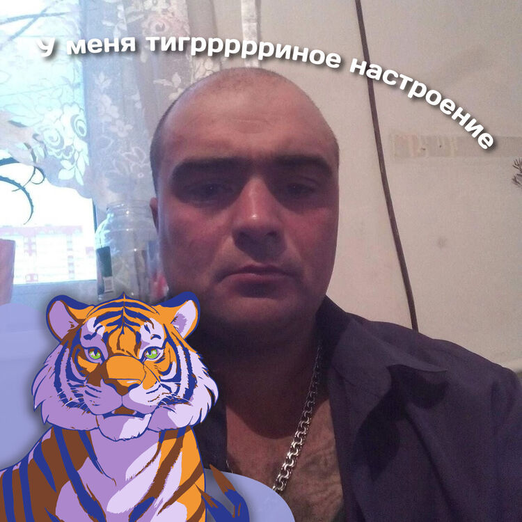 ���� 43968012 ������� ������, 41 ���, ���� ���������� � ������������