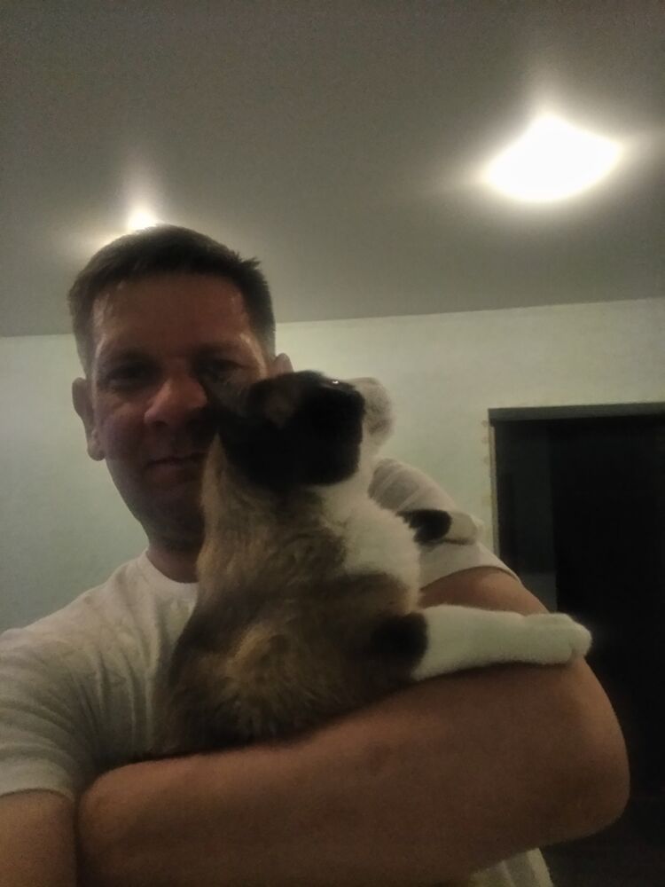 ���� 26995662 ������� ������, 45 ���, ���� ���������� � �����