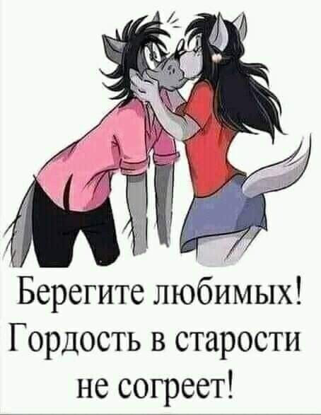  45849912  , 52 ,    