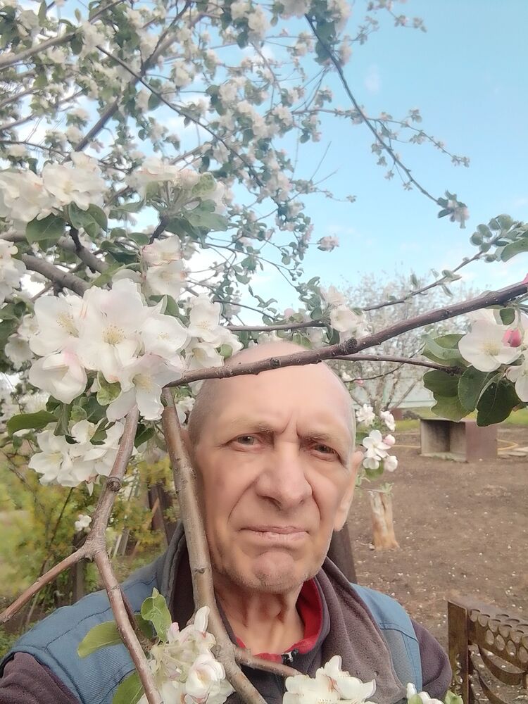 ���� 55805742 ������� �������, 69 ���, ���� ���������� � ��������