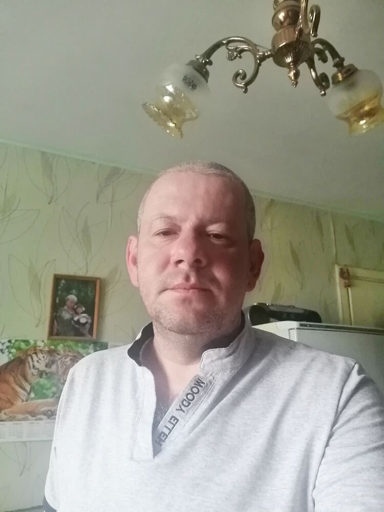  28002842  , 43 ,     