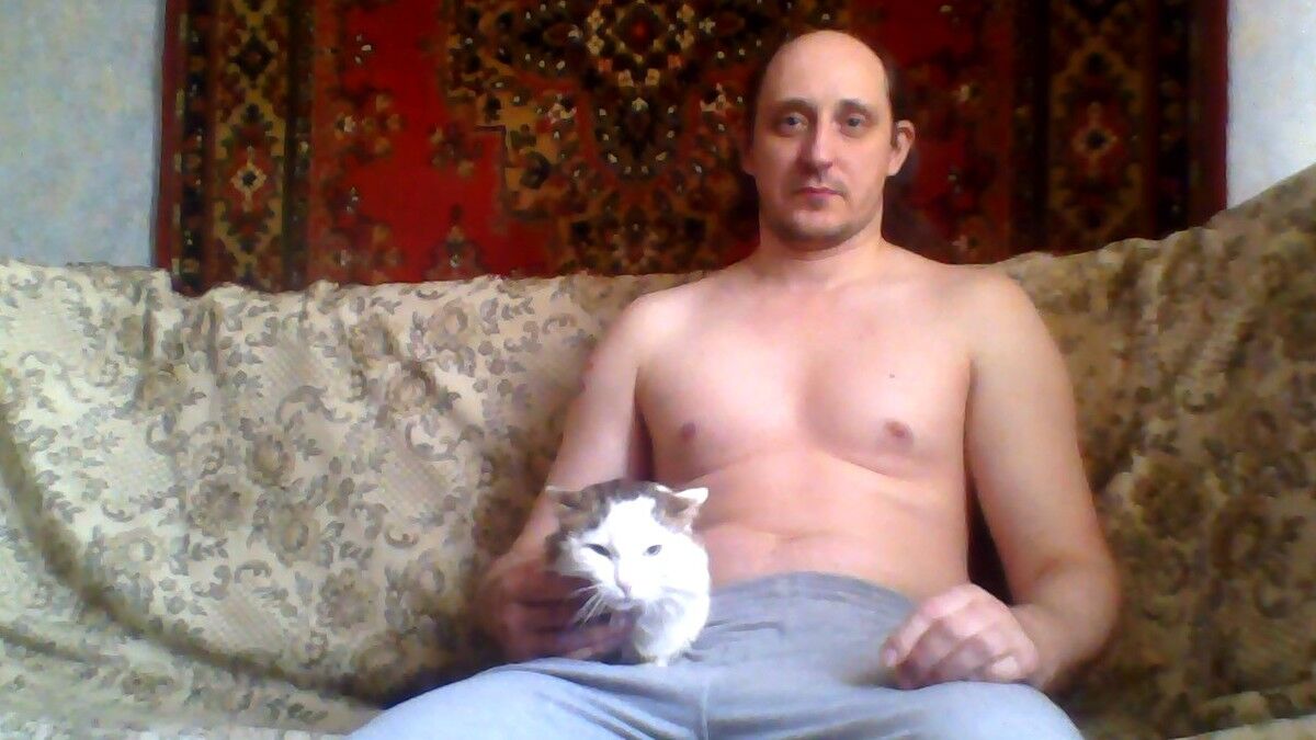  ,   , 53 ,   