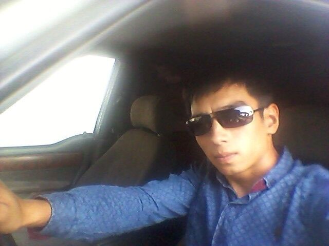 ���� 8203952 ������� ������, 33 ����, ���� ���������� � ���