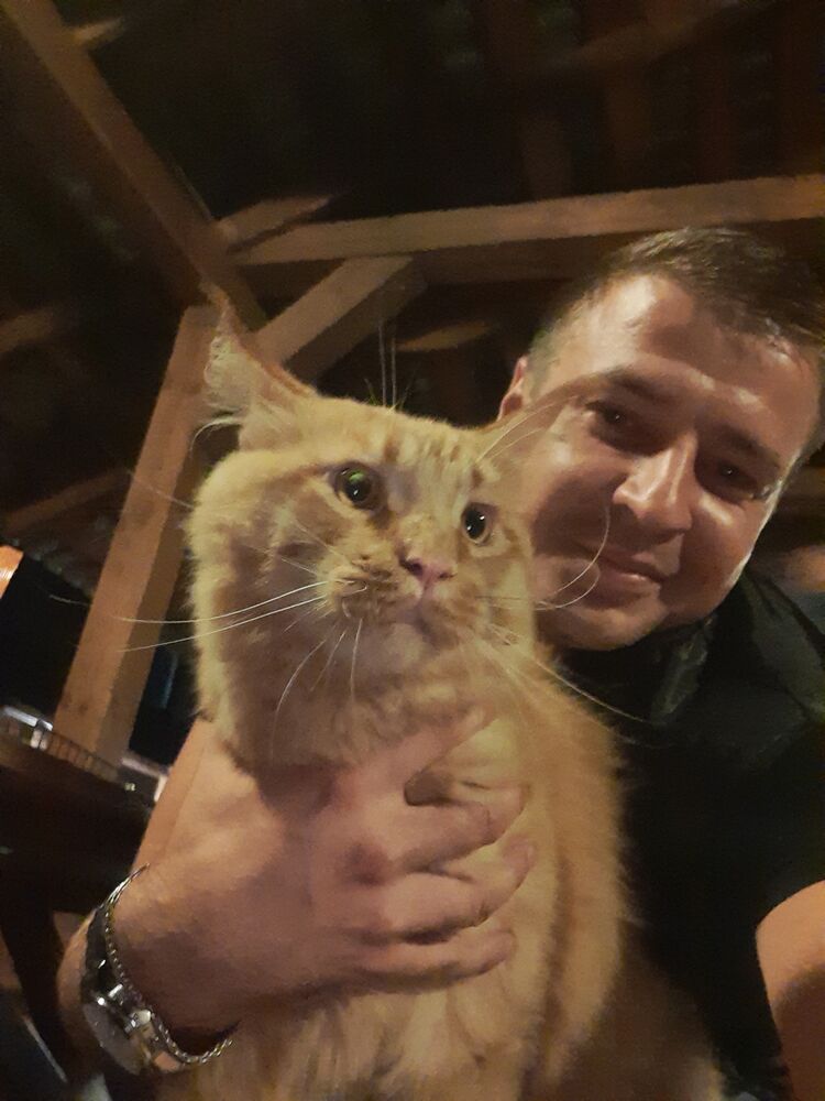 ���������� �������, ���� ������� ����, 31 ���, ������������ ��� ������, ����� � ���������, c�������� ���������