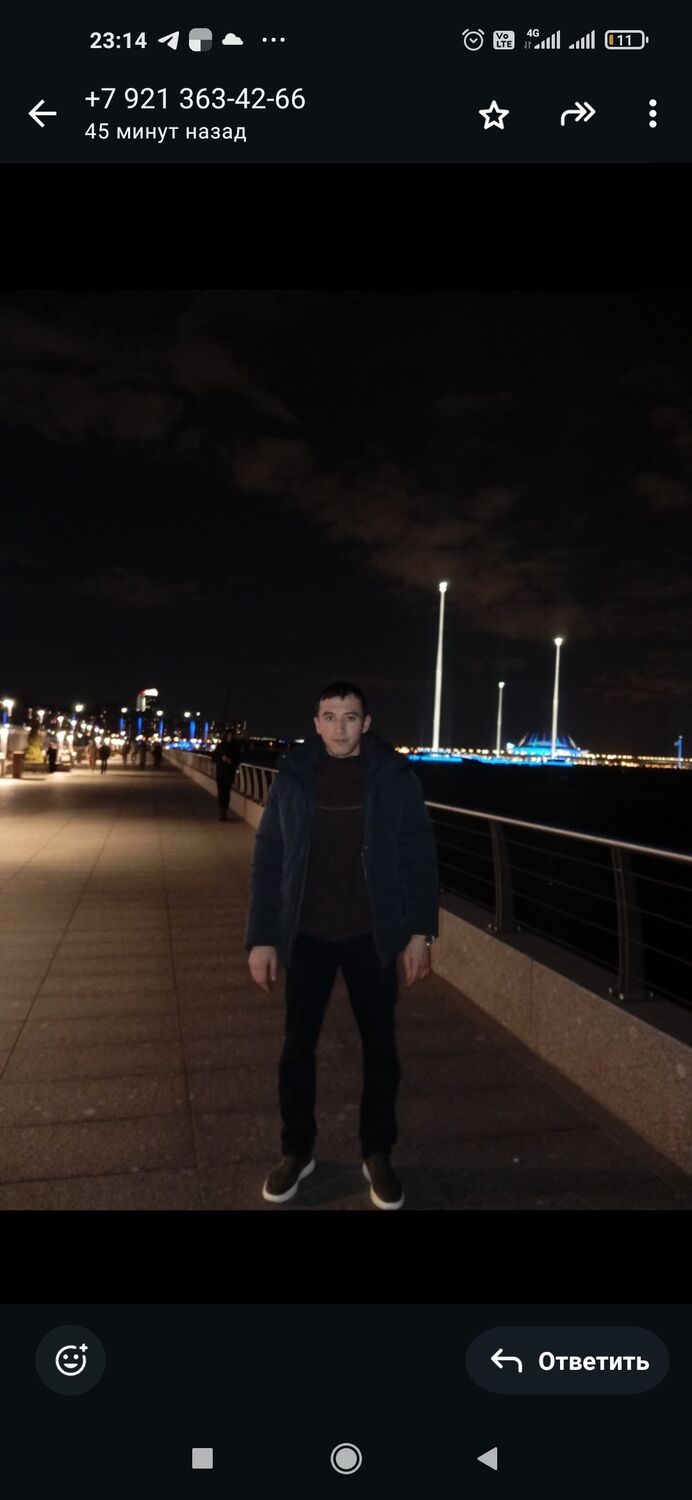  50647082  , 31 ,    -