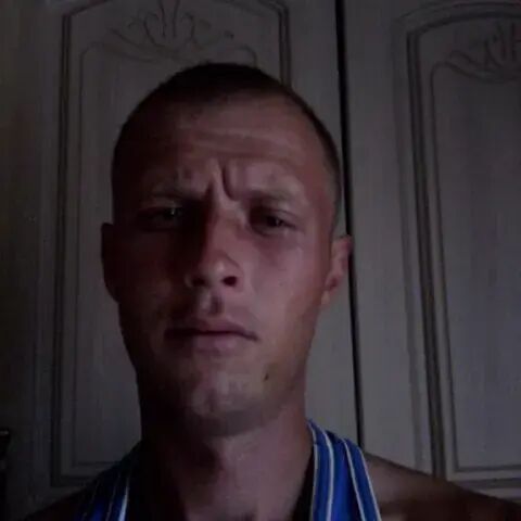  29441642  , 40 ,     