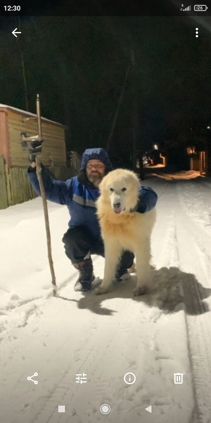  54176502  , 54 ,    -