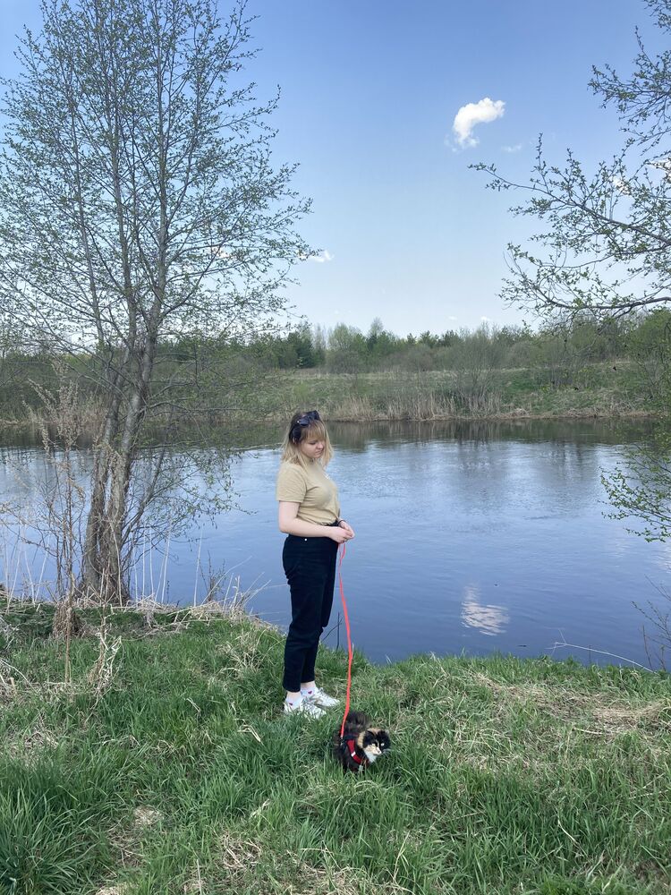 ���������� ������, ���� ������� ��������, 28 ���, ������������ ��� ���������