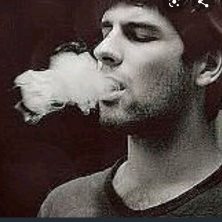 ���� 19304812 ������� Kar, 36 ���, ���� ���������� � �������