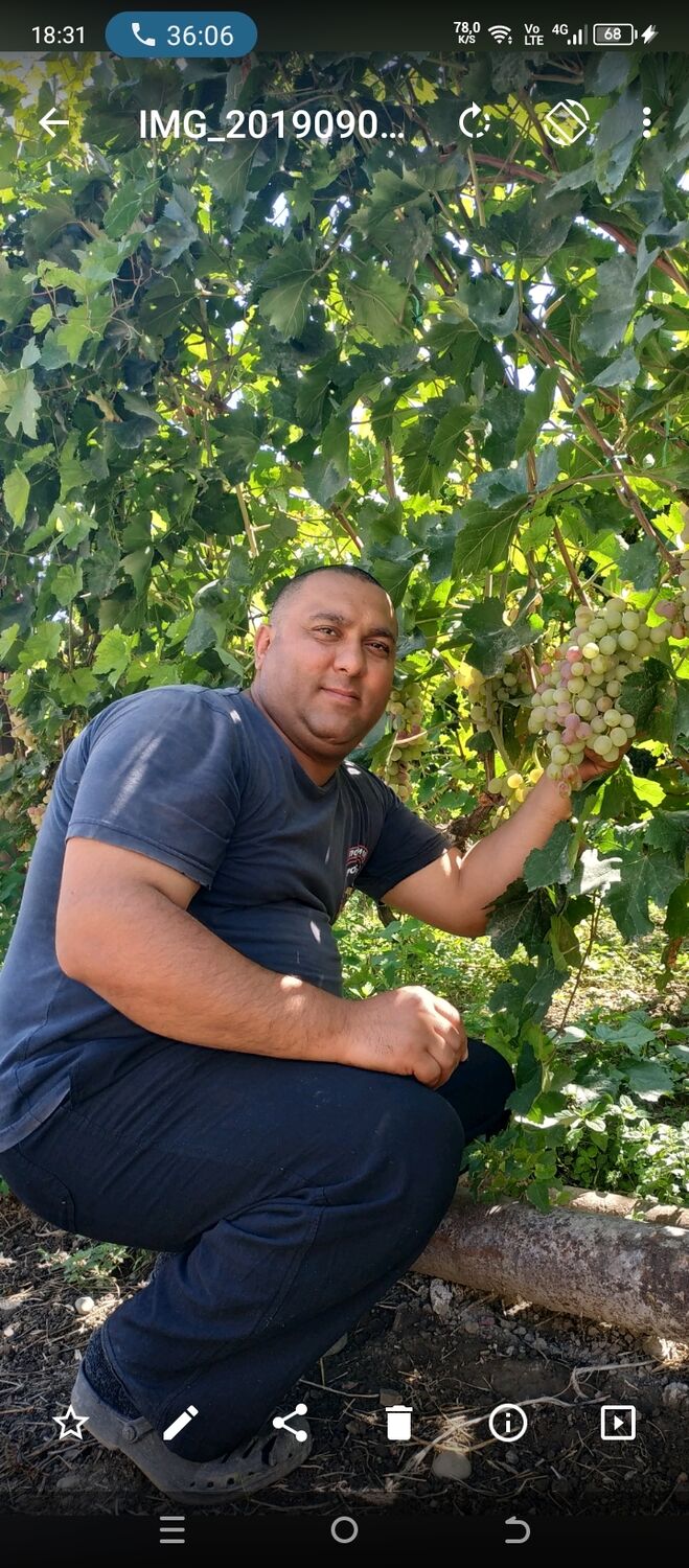 ���������� ������, ���� ������� ������, 44 ����, ������������ ��� ������, ����� � ���������