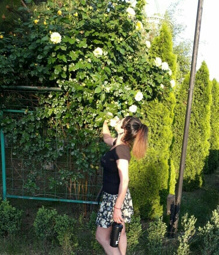 ���� 16735532 ������� �����, 56 ���, ���� ���������� � �������-��-����