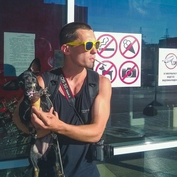 ���� 17155892 ������� ������� ����, 43 ����, ���� ���������� � ������������