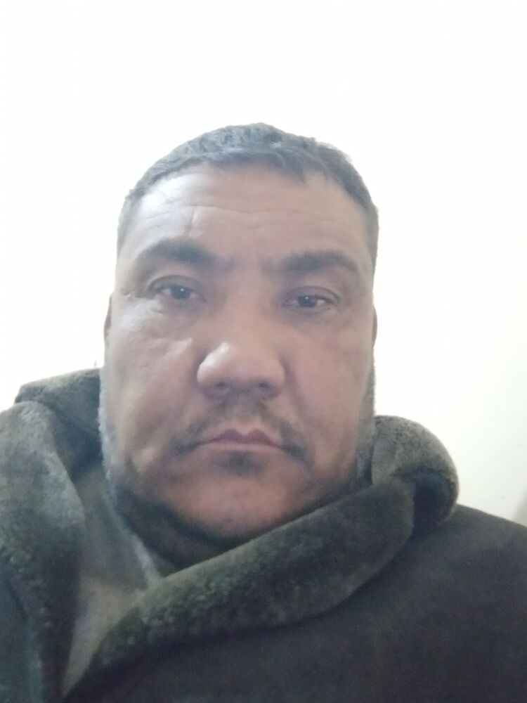  48217902  , 43 ,    