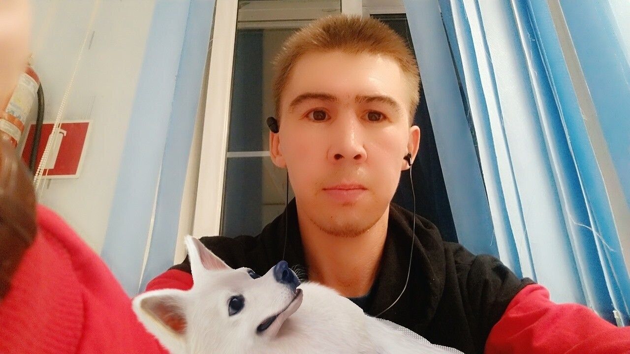 ���������� ������, ���� ������� �����, 36 ���, ������������ ��� ������, ����� � ���������, c�������� ���������, ���������