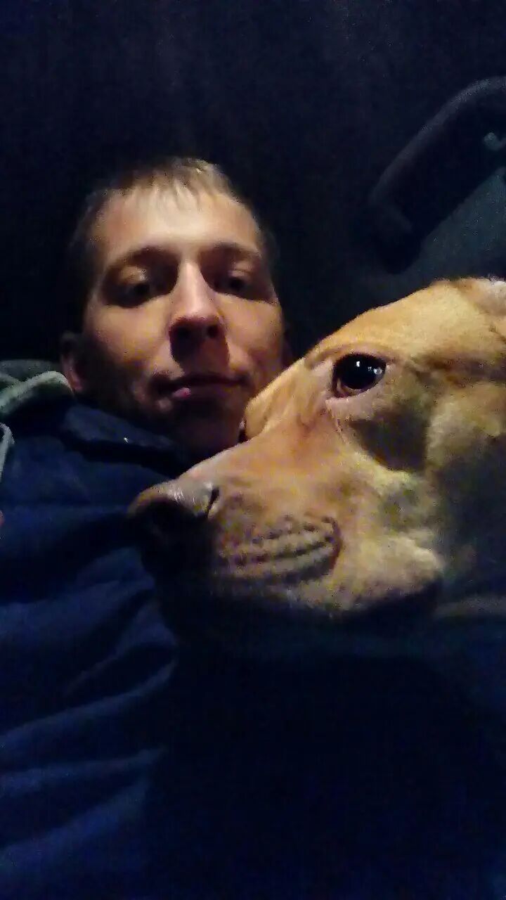 ���������� ������, ���� ������� �������, 36 ���, ������������ ��� ������, ����� � ���������, c�������� ���������