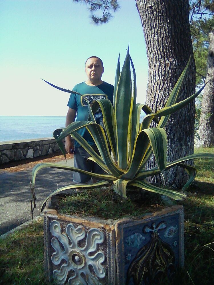 ���������� ��������, ���� ������� ���������, 55 ���, ������������ ��� ������, ����� � ���������