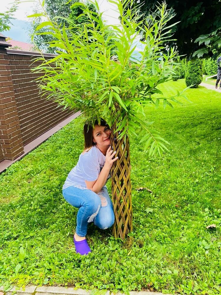 ���������� ������, ���� ������� �����, 105 ���, ������������ ��� ������, ����� � ���������, c�������� ���������