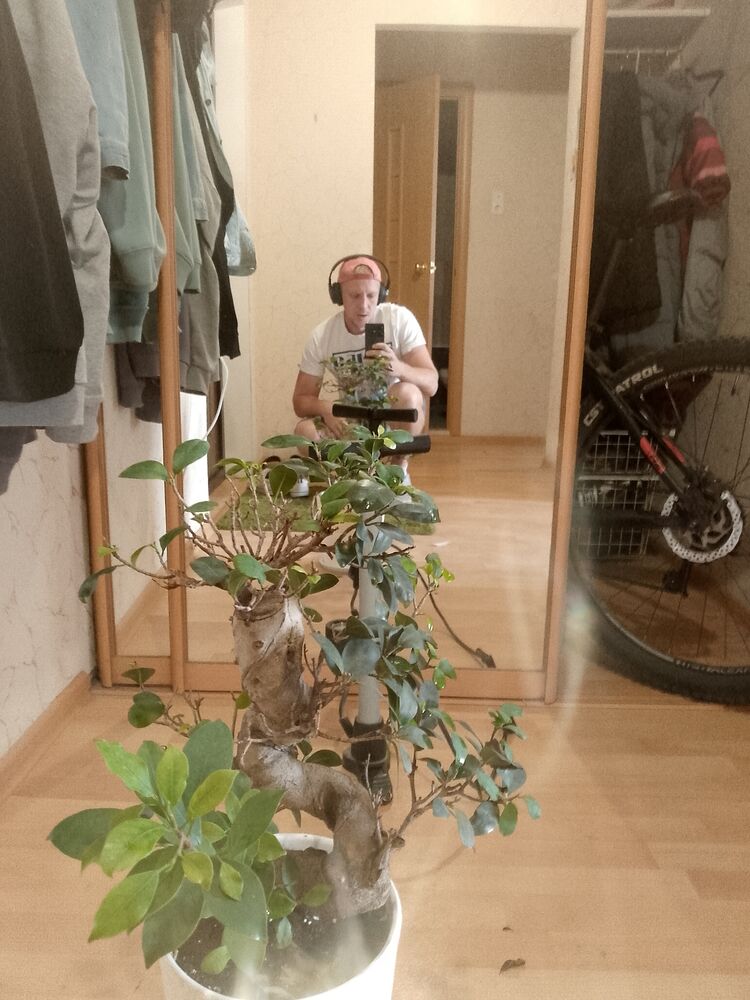 ���� 45780732 ������� ����, 38 ���, ���� ���������� � ������