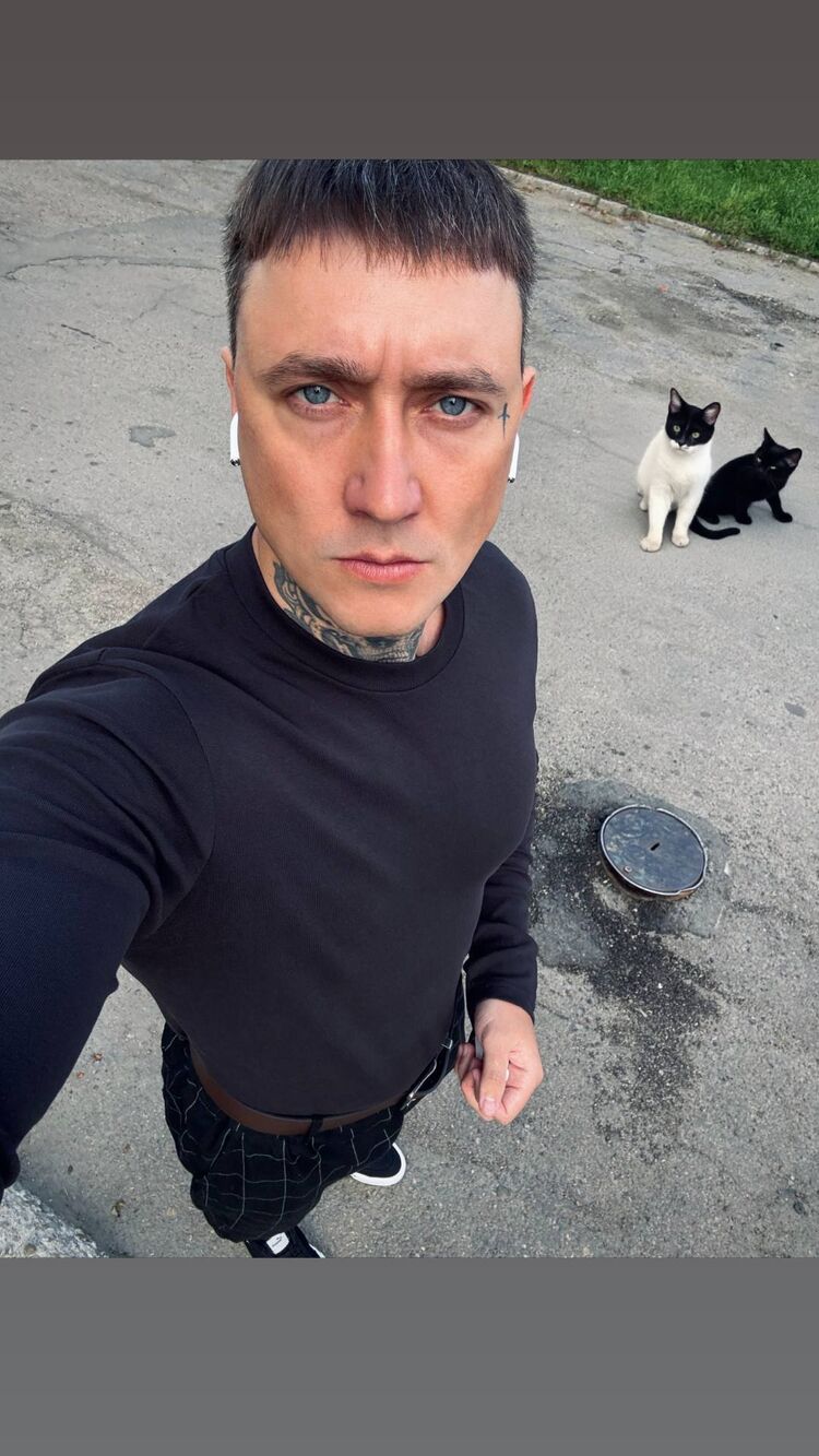 ���� 53342172 ������� ��������, 29 ���, ���� ���������� � ��������