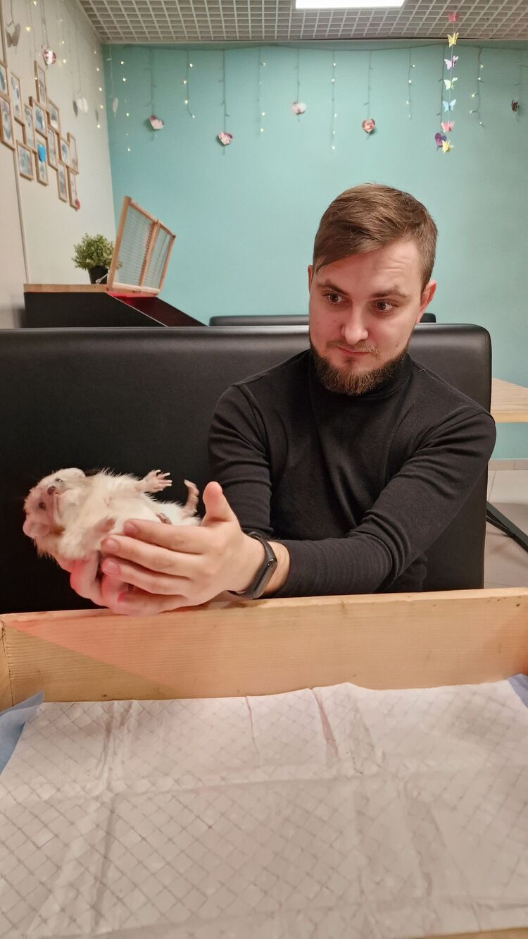 ���������� ������, ���� ������� �������, 28 ���, ������������ ��� ������, ����� � ���������, c�������� ���������