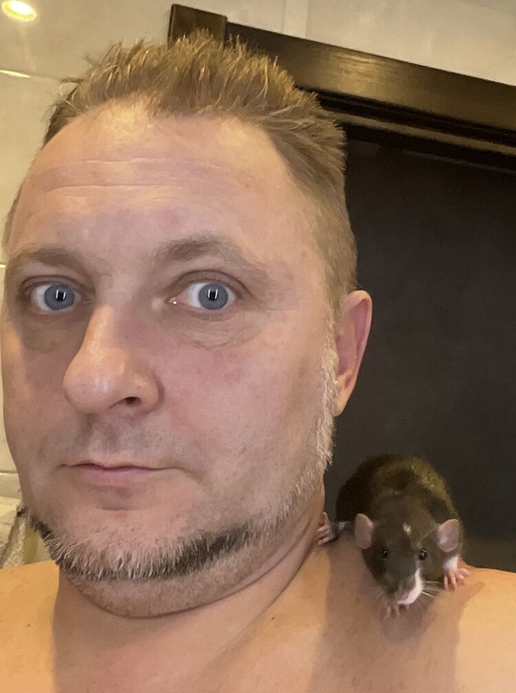 ���������� ������, ���� ������� �����, 43 ����, ������������ ��� ������, ����� � ���������