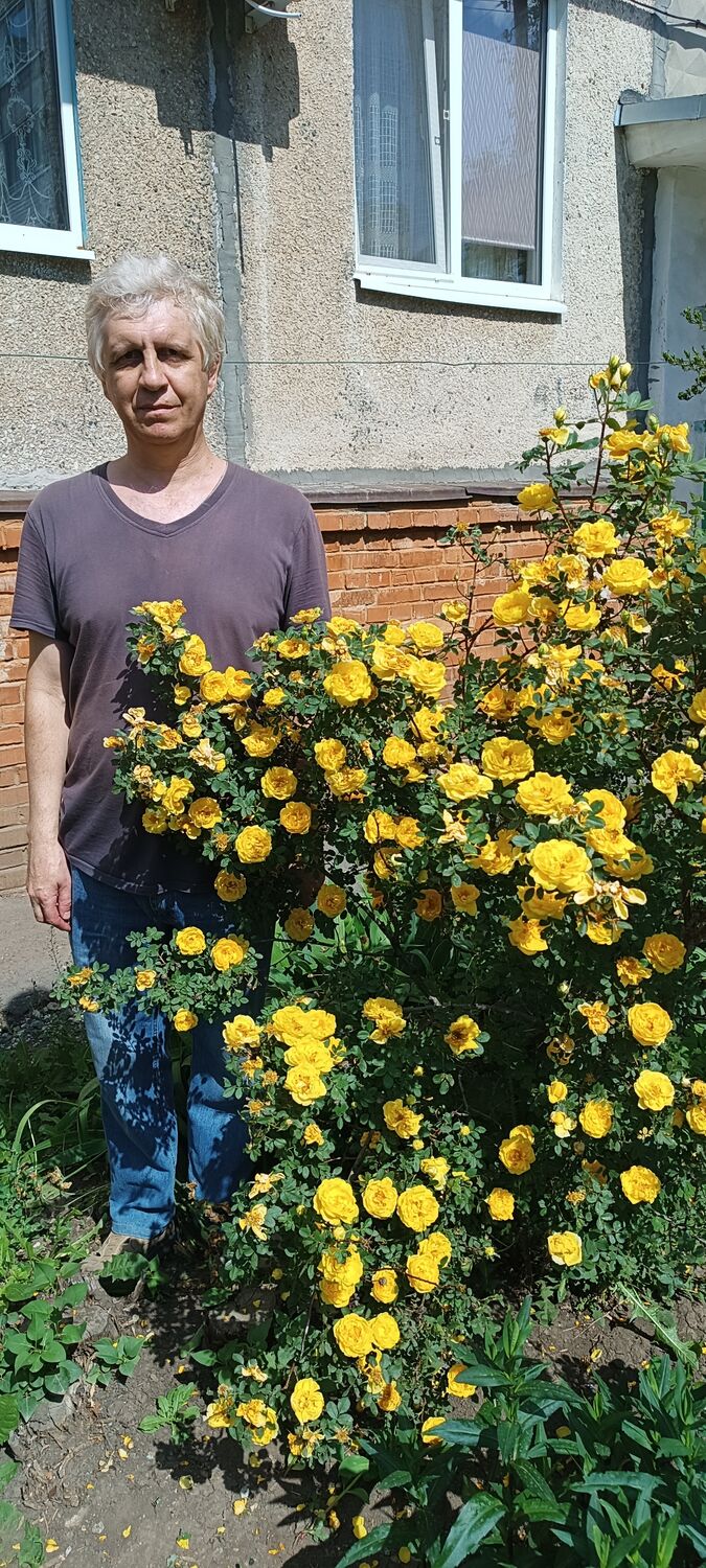 ���� 55222542 ������� ������, 47 ���, ���� ���������� � ���