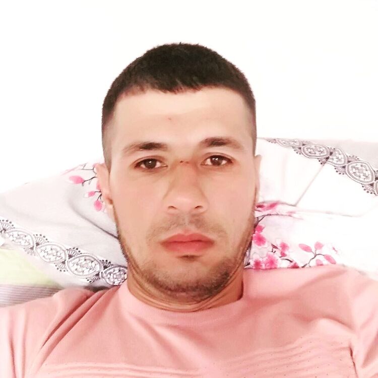  49291462  , 36 ,    