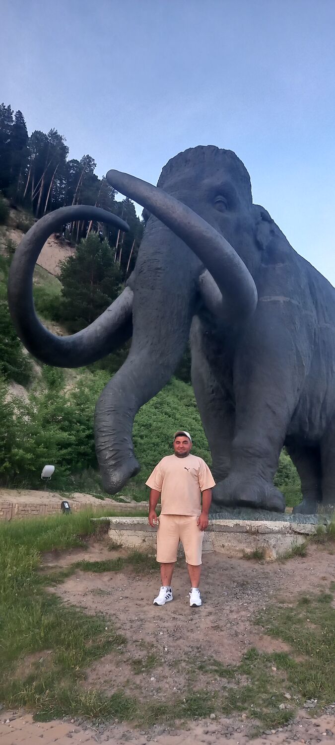  52123152  , 37 ,    -