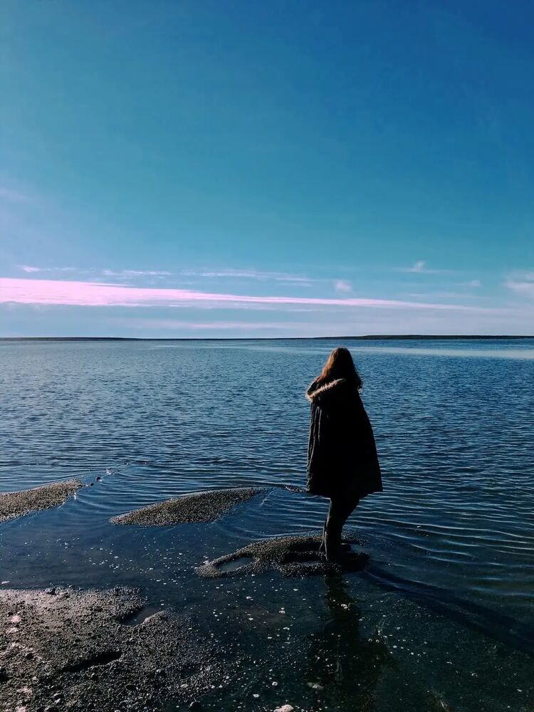  40673202  , 29 ,    -