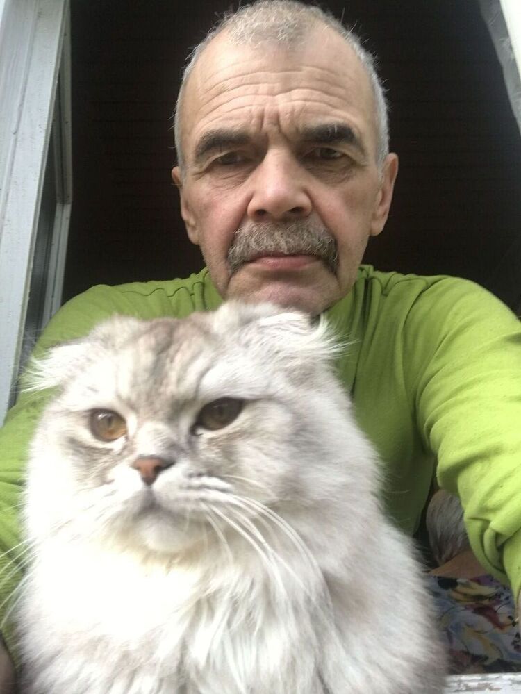 ���� 31393462 ������� ������, 64 ����, ���� ���������� � ������