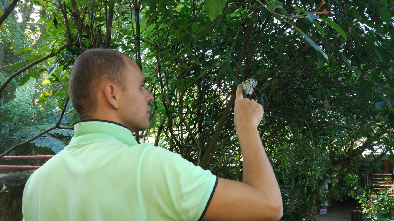 ���������� ������, ���� ������� ����������, 38 ���, ������������ ��� ������, ����� � ���������, c�������� ���������