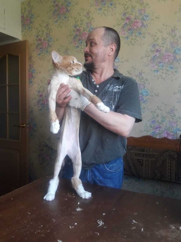  ,   , 49 ,   ,   , c 