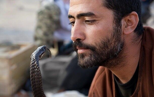 ���� 7712942 ������� ����, 36 ���, ���� ���������� � �������