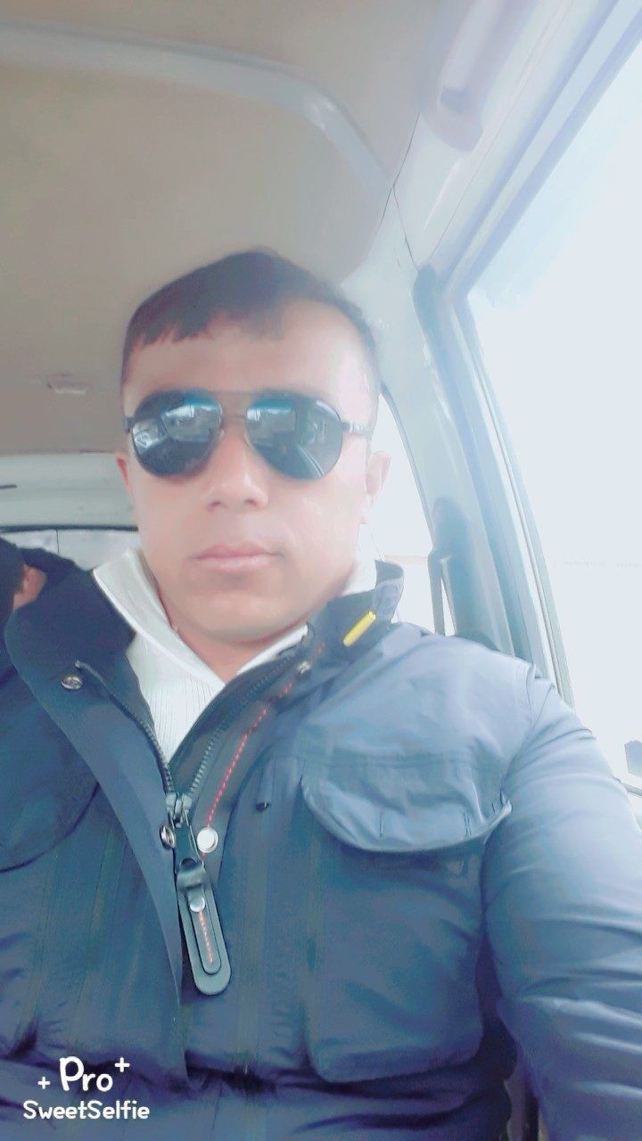  43687182  , 33 ,    