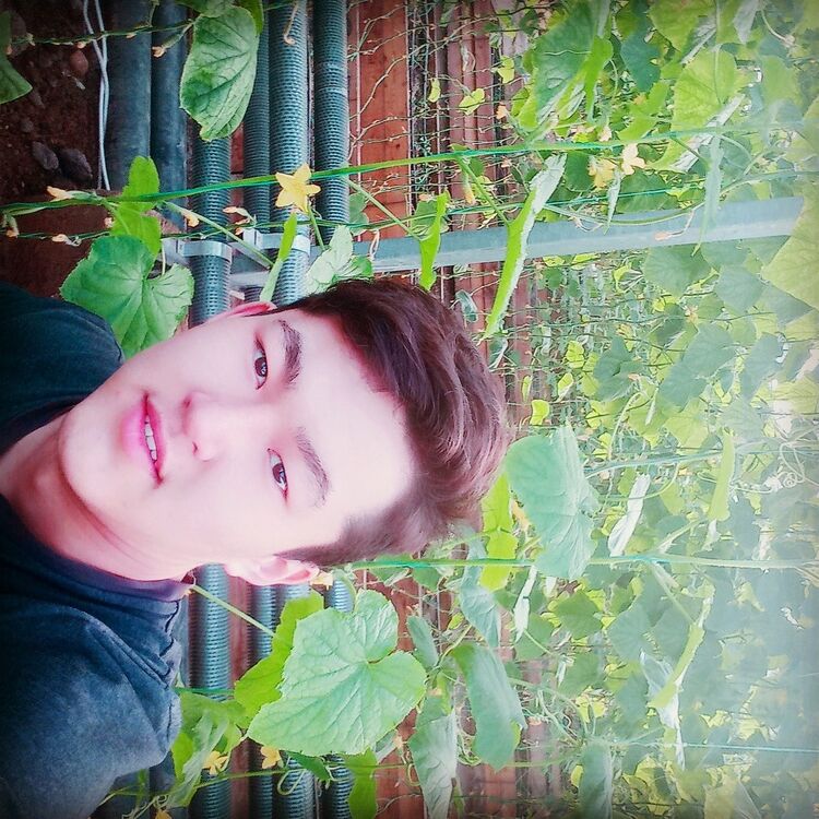  16049822  , 26 ,    