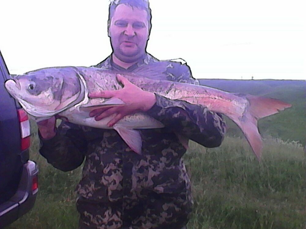 ���� 11774542 ������� ������, 46 ���, ���� ���������� � �����