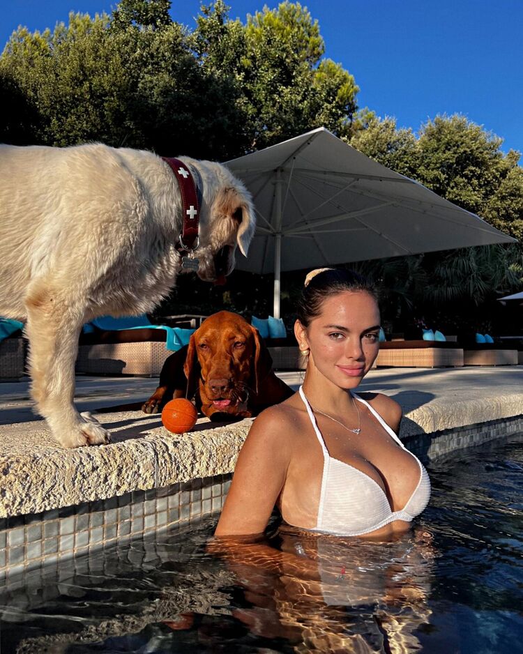 ���� 54427002 ������� ���, 32 ����, ���� ���������� � ��������