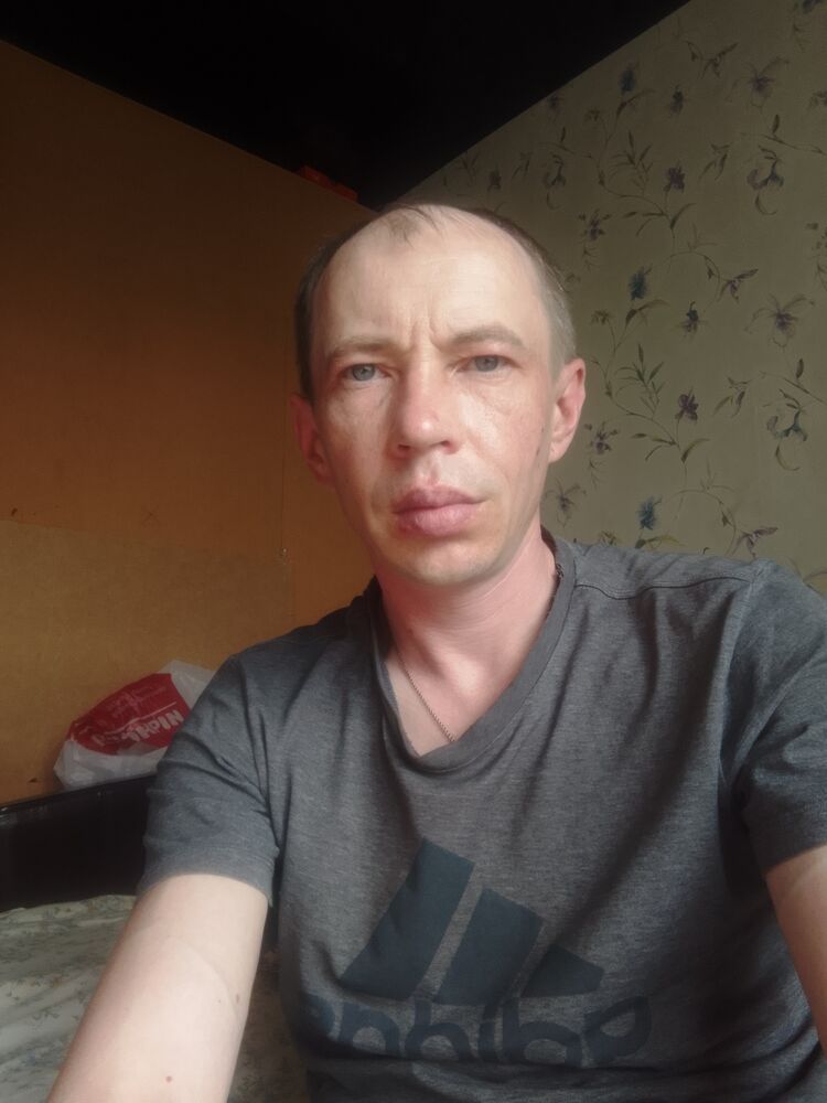  53037782  , 39 ,     