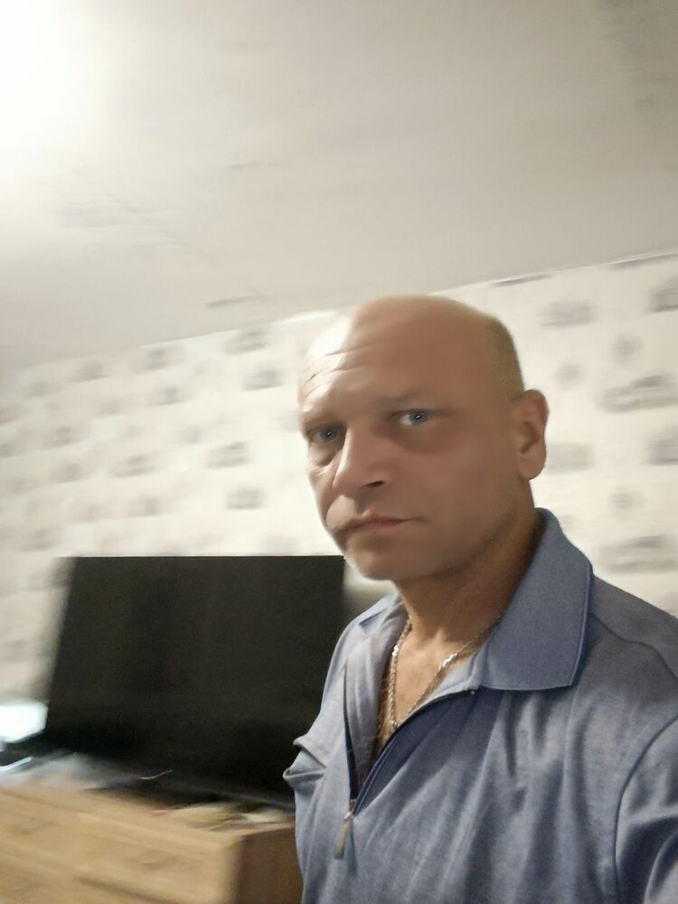  53856002  , 50 ,    