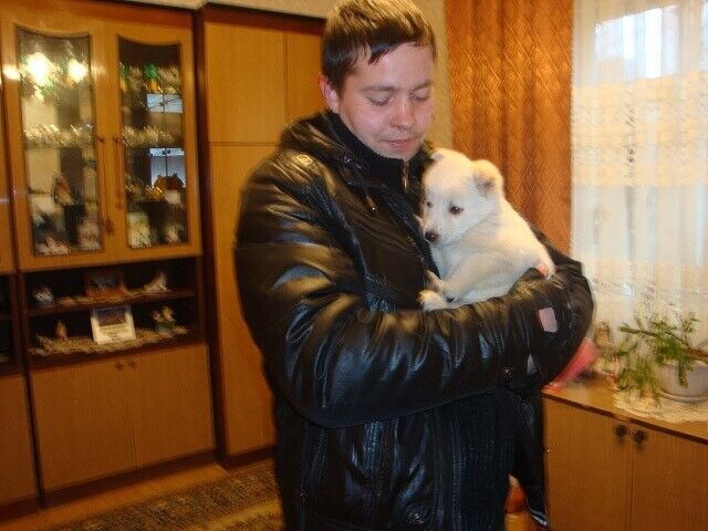 ���� 21324712 ������� ˸��, 42 ����, ���� ���������� � ������