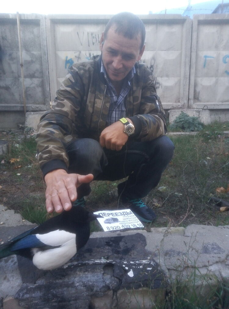 ���������� �������, ���� ������� �����, 55 ���, ������������ ��� ������, ����� � ���������, c�������� ���������