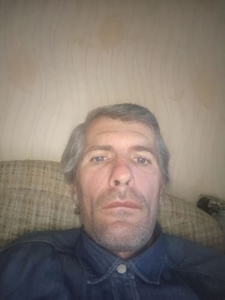  43196302  , 44 ,    