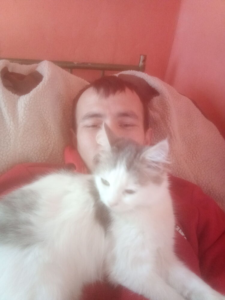 ���� 26434752 ������� �������, 35 ���, ���� ���������� � �������������