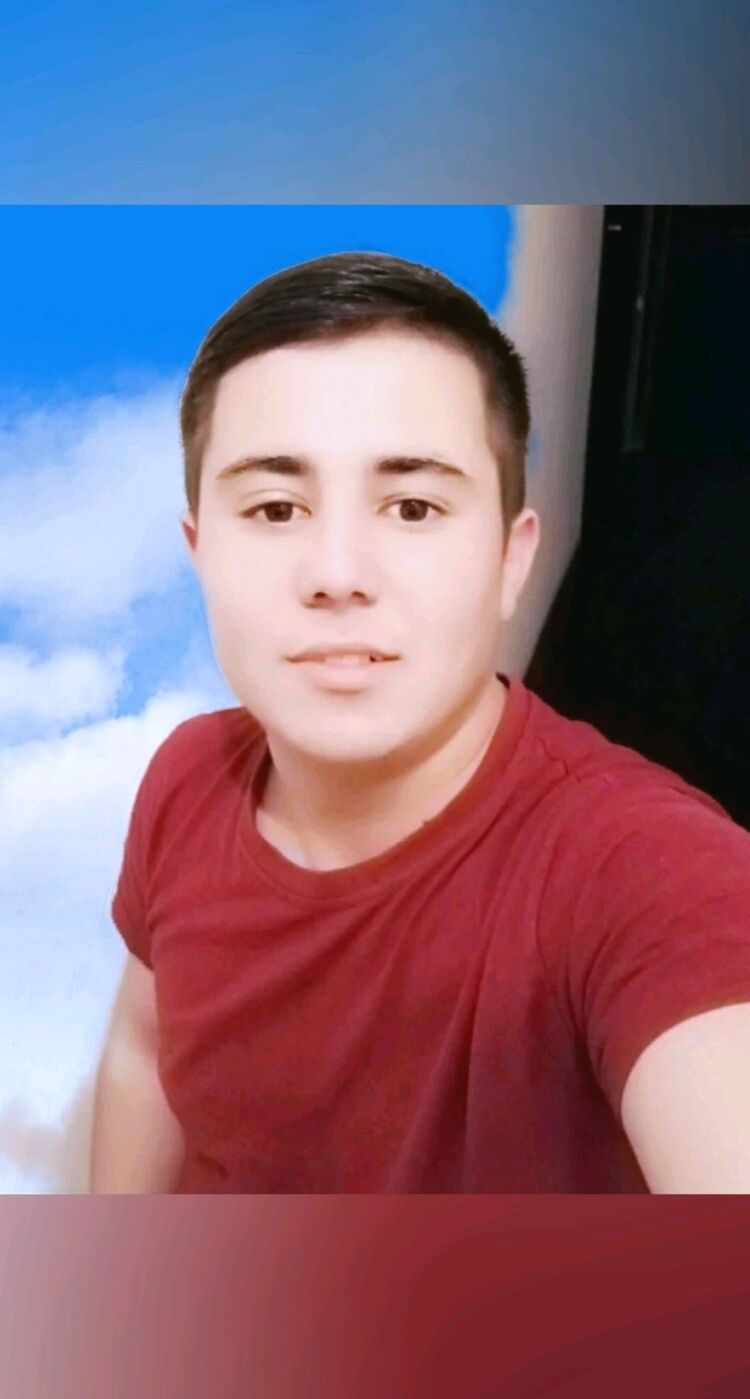 ���������� ������, ���� ����� �������, 24 ����, ������������ ��� ������, ����� � ���������