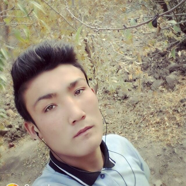  32587682  , 26 ,    