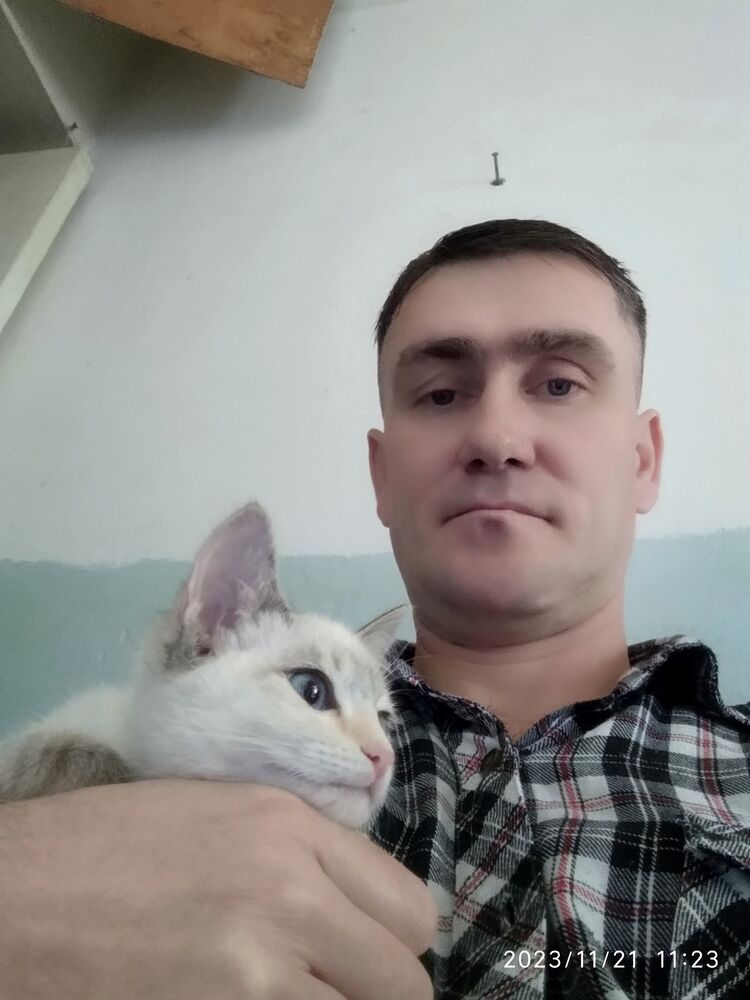 ���������� �������, ���� ������� �����, 39 ���, ������������ ��� ������, ����� � ���������, c�������� ���������, ���������