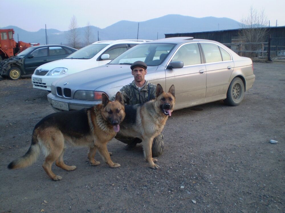  4553172  Dmitry, 47 ,    