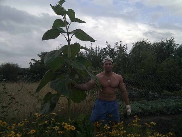 ���� 4409992 ������� �����, 55 ���, ���� ���������� � ����������