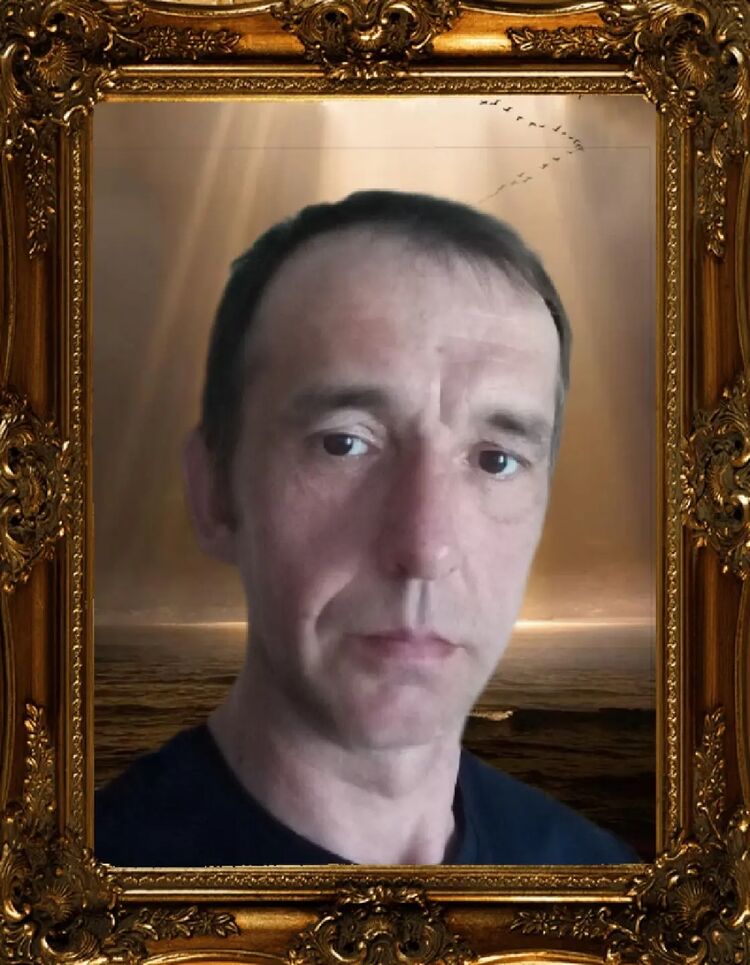  39831322  , 43 ,    